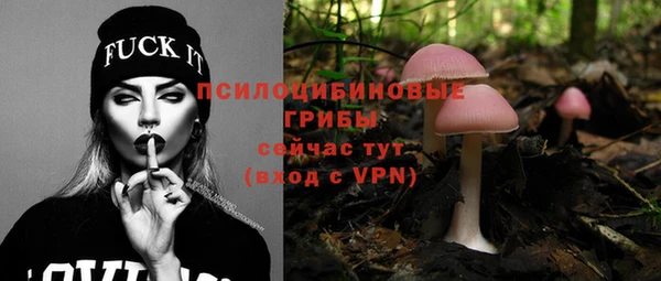 тгк Кинешма