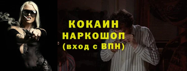 стаф Киренск