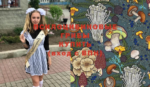 метадон Киреевск